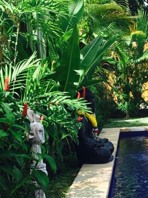 Kayu Bali Hotel Canggu Екстериор снимка