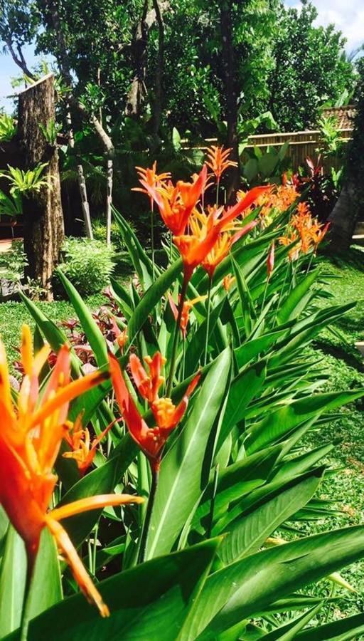Kayu Bali Hotel Canggu Екстериор снимка