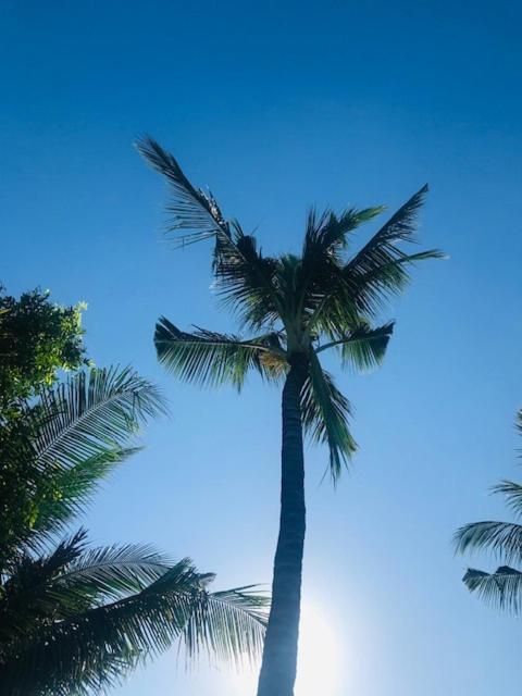 Kayu Bali Hotel Canggu Екстериор снимка