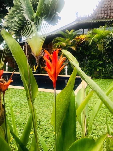 Kayu Bali Hotel Canggu Екстериор снимка