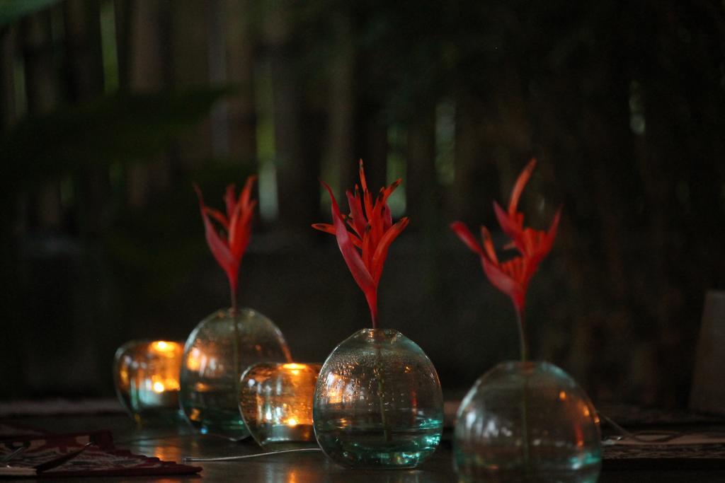 Kayu Bali Hotel Canggu Екстериор снимка